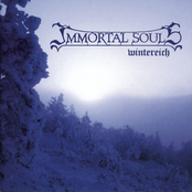 IMMORTAL SOULS - Wintereich cover 