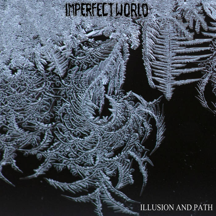 IMPERFECT WORLD - Illusion And Path cover 
