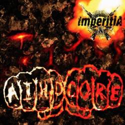 IMPERITIA - Aihdcore cover 