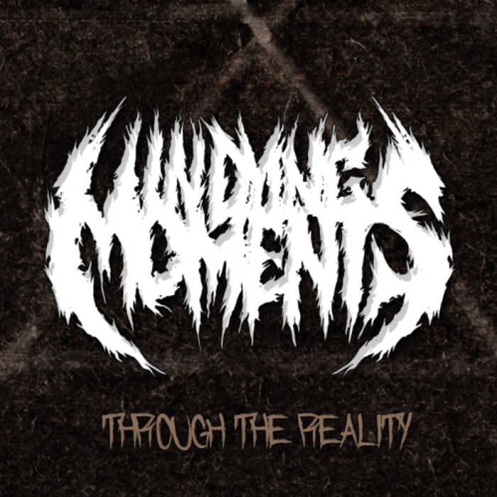 IN DYING MOMENTS - Through The Reality cover 