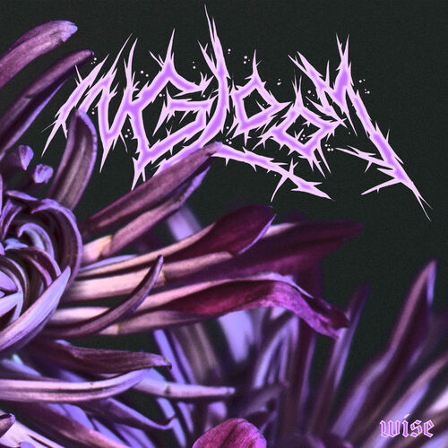 IN GLOOM - Wise cover 