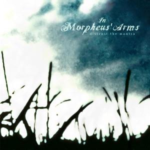 IN MORPHEUS' ARMS - Distrust The Mantra cover 