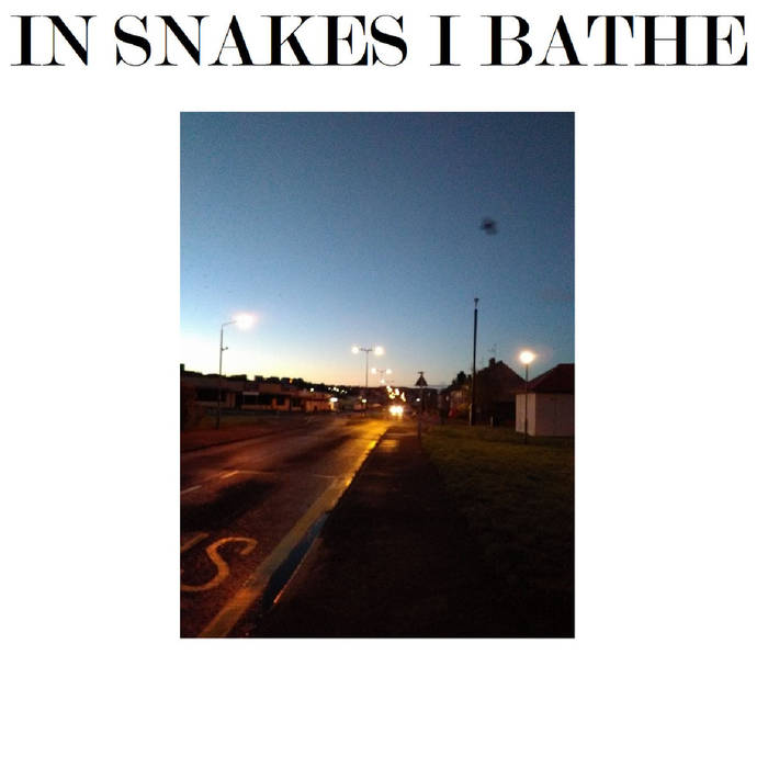 IN SNAKES I BATHE - Demo 2018 cover 