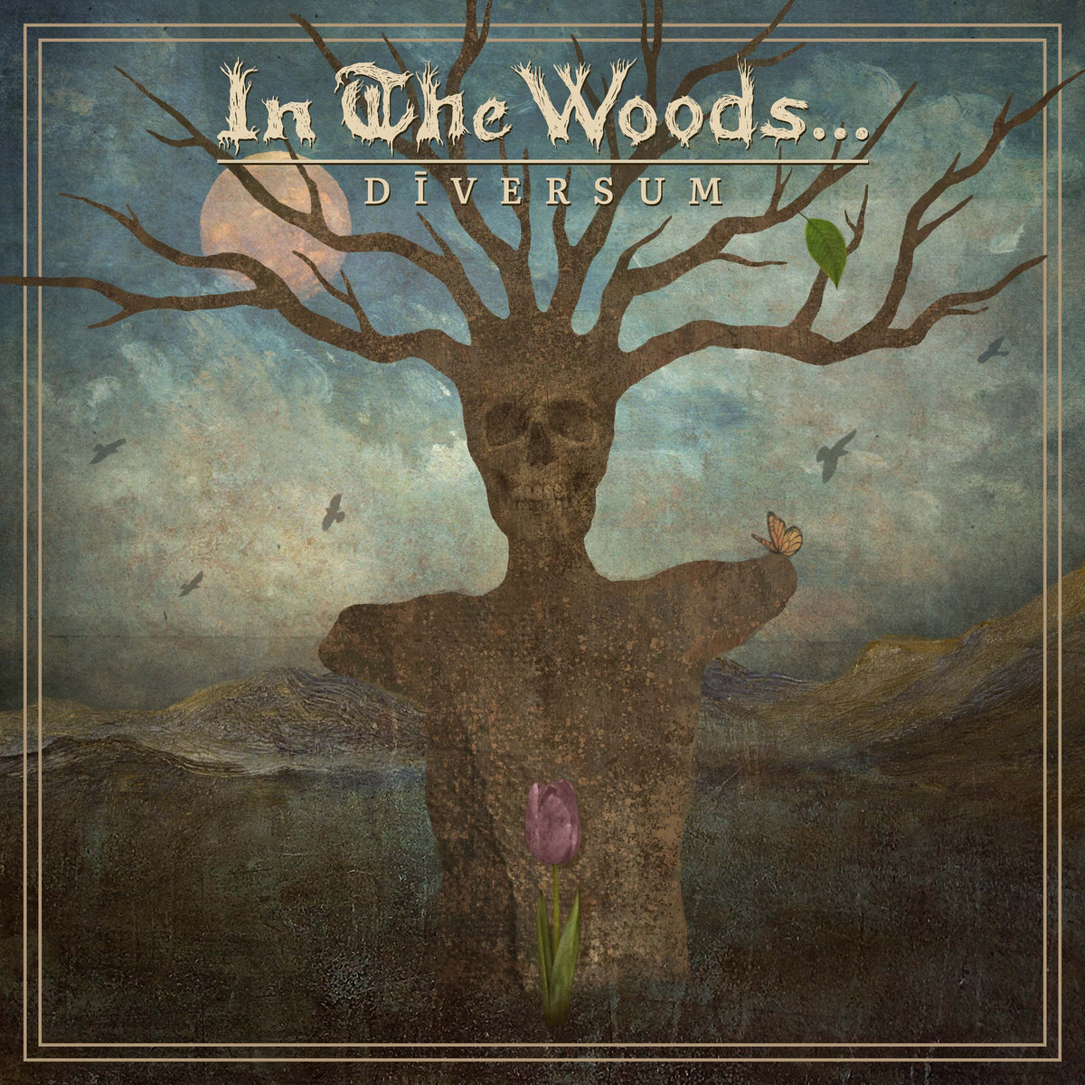 IN THE WOODS... - Diversum cover 