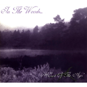 IN THE WOODS... - Heart of the Ages cover 