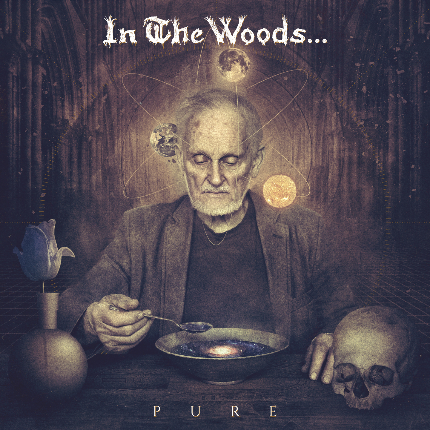 IN THE WOODS... - Pure cover 