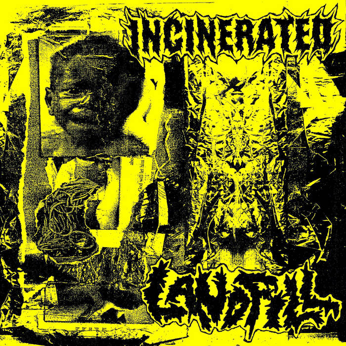 INCINERATED - Incinerated / Landfill cover 