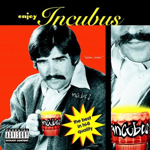 INCUBUS (CA) - Enjoy Incubus cover 