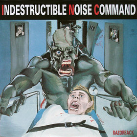 INDESTRUCTIBLE NOISE COMMAND - Razorback cover 