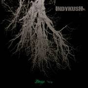 INDYKRUSH - Iboga cover 