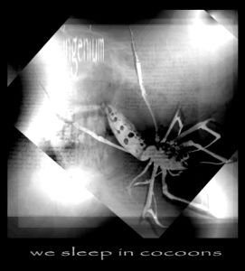 INGENIUM - We Sleep in Cocoons cover 