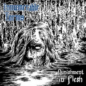 INNUMERABLE FORMS - Punishment in Flesh cover 
