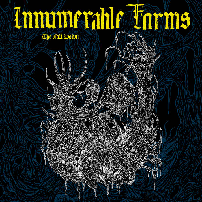 INNUMERABLE FORMS - The Fall Down cover 