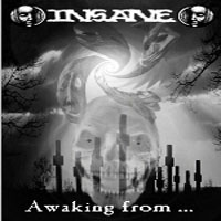 INSANE - Awaking from... cover 