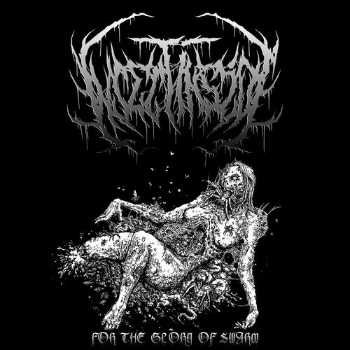 INSECT INSIDE - For The Glory Of Swarm cover 