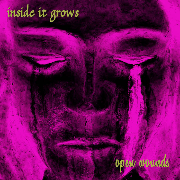 INSIDE IT GROWS - Open Wounds cover 