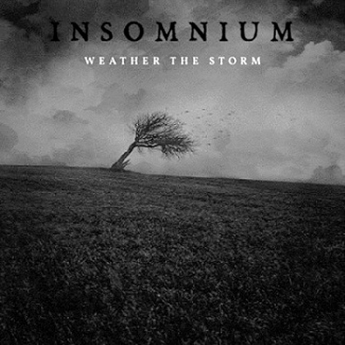 INSOMNIUM - Weather the Storm cover 