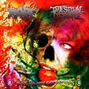 INTESTINAL DISGORGE - Anti-Female Orchestra cover 