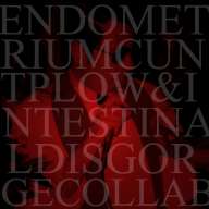 INTESTINAL DISGORGE - Endometrium Cuntplow & Intestinal Disgorge - Collaboration cover 