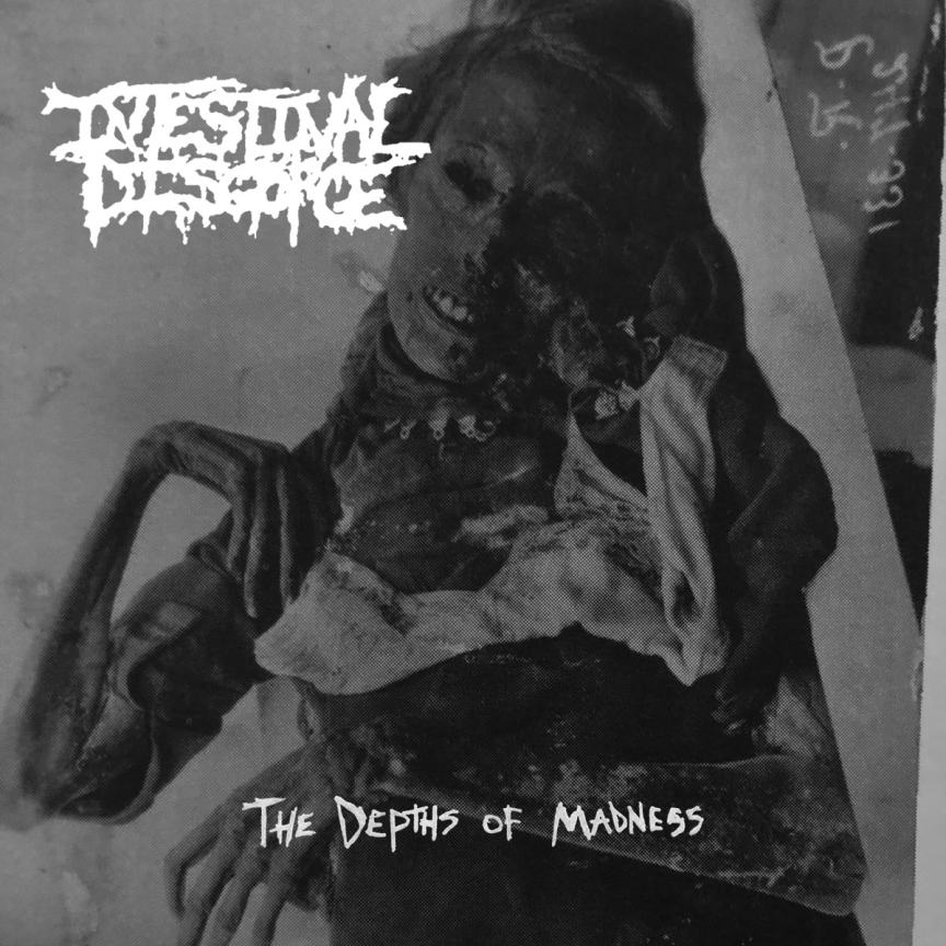 INTESTINAL DISGORGE - The Depths Of Madness cover 