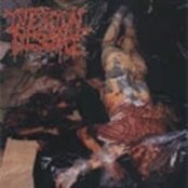 INTESTINAL DISGORGE - Whore Splattered Walls cover 