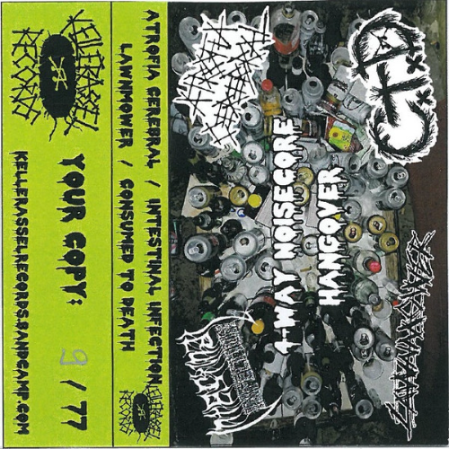INTESTINAL INFECTION - 4-way Noisecore Hangover cover 