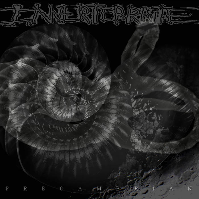 INVERTEBRATE - Precambrian cover 