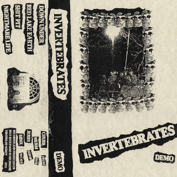 INVERTEBRATES - Demo cover 