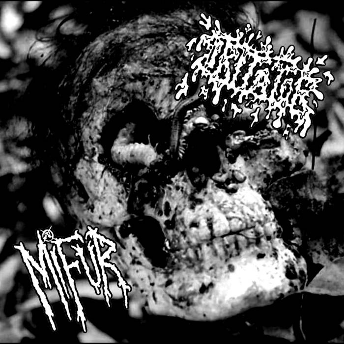 IRITATOR - Iritator / Mifur cover 