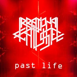IRRATIONAL CAUSE - Past Life cover 