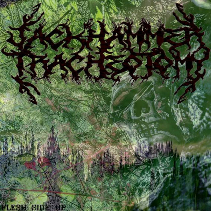 JACKHAMMER TRACHEOTOMY - Flesh Side Up cover 