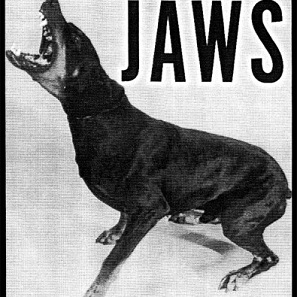 JAWS - Jaws cover 