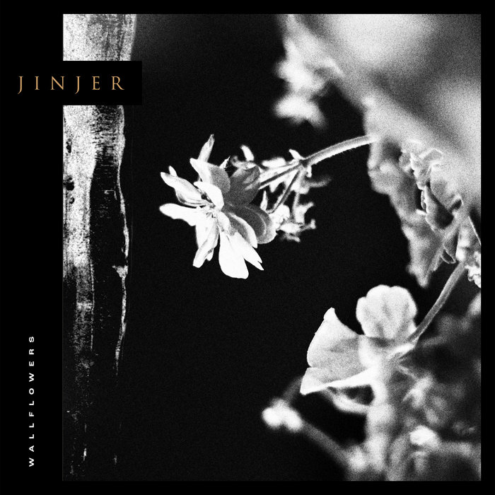 JINJER - Wallflowers cover 