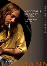 JOHN ZORN - A Bookshelf On Top Of The Sky: 12 Stories About John Zorn cover 