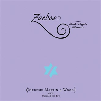 JOHN ZORN - Zaebos (Book Of Angels Volume 11) (with  Medeski Martin & Wood) cover 