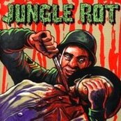 JUNGLE ROT - Darkness Foretold cover 