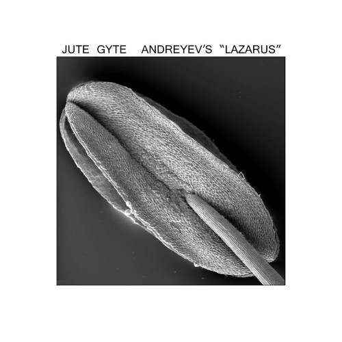 JUTE GYTE - Andreyev's 