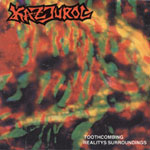 KAZJUROL - Toothcombing Reality's Surroundings cover 