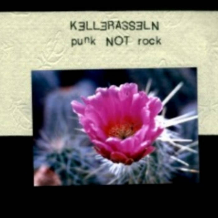 KELLERASSELN - Punk Not Rock cover 