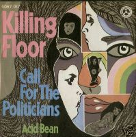 KILLING FLOOR - Call For The Politicians / Acid Bean cover 