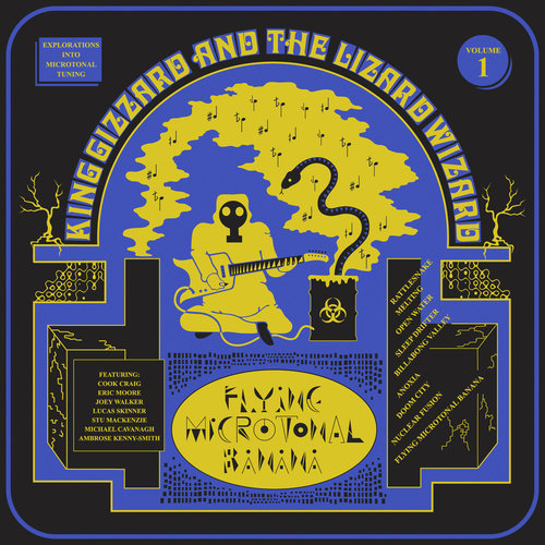 KING GIZZARD AND THE LIZARD WIZARD - Flying Microtonal Banana cover 