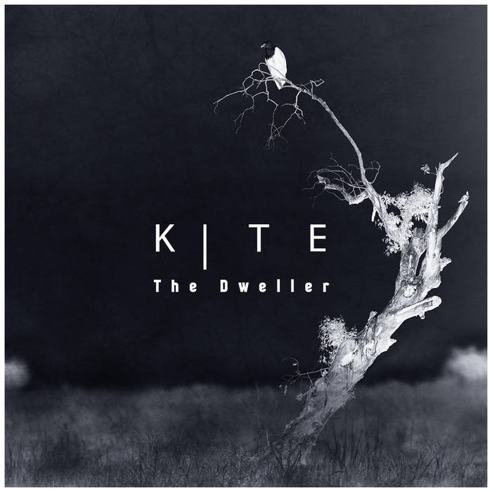 KITE - The Dweller cover 