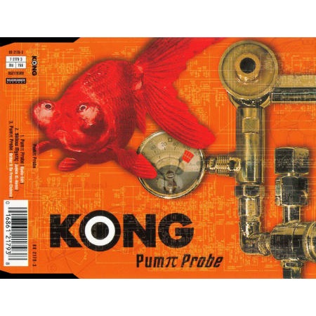 KONG - Pumπ Probe cover 