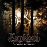 KORPIKLAANI - Spirit of the Forest cover 
