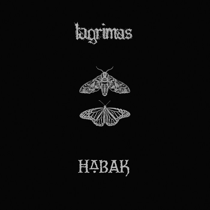 LAGRIMAS - Lagrimas / Habak cover 