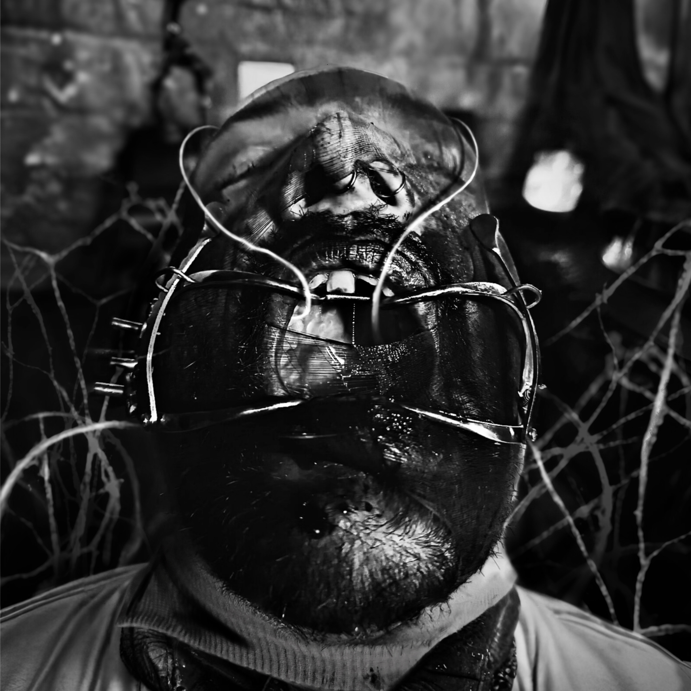 LARCɆNIA ROɆ - Extraction cover 