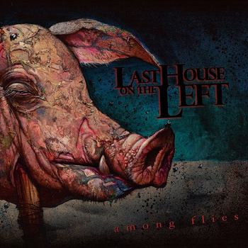 LAST HOUSE ON THE LEFT - Among Flies cover 
