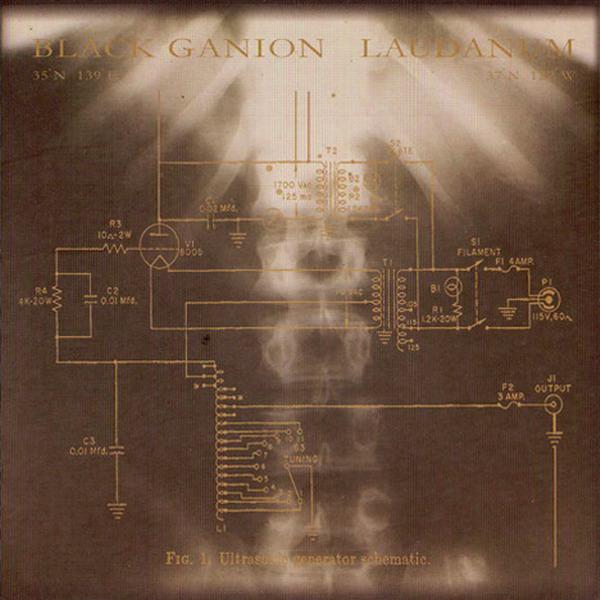 LAUDANUM - Ultrasonic Generator Schematic cover 