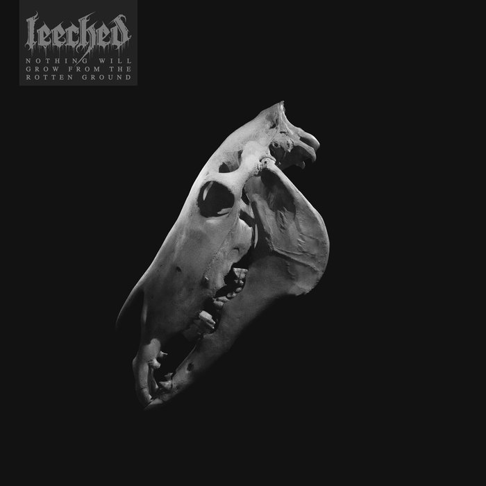 LEECHED - Nothing Will Grow From The Rotten Ground cover 