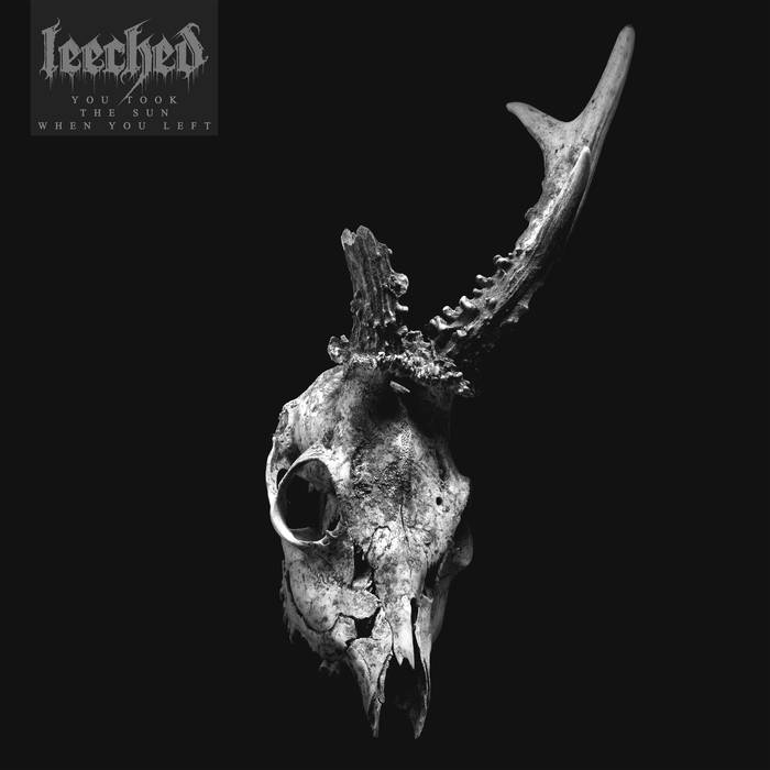 LEECHED - You Took The Sun When You Left cover 